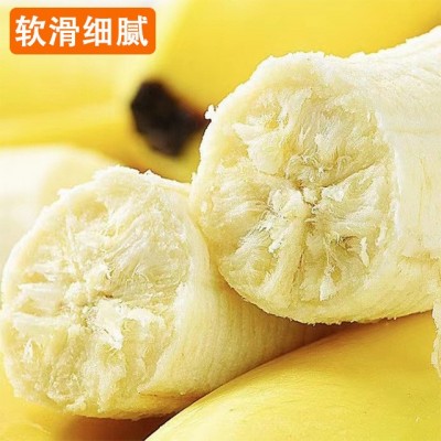 云南高山甜香蕉鲜水果现款香蕉青果收到需催熟超甜香蕉图3