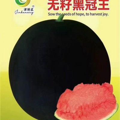 无籽黑冠王西瓜黑皮圆西瓜种子大果型春秋四季露天大棚水果籽图4