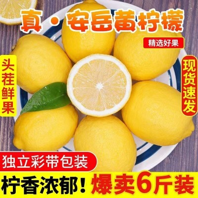 四川安岳柠檬餐饮商用黄柠檬批发薄皮多汁当季新鲜柠檬产地直发图3