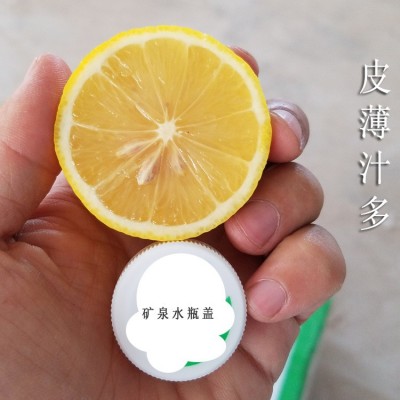 批发新鲜安岳黄柠檬小果1斤约6个 60-90克 皮薄汁多 5斤起包邮图4