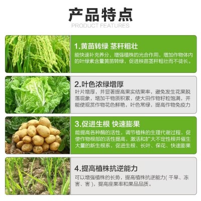 叶绿素叶面肥通用型黄叶一喷绿真品中微量元素水溶肥复合叶面肥料图3