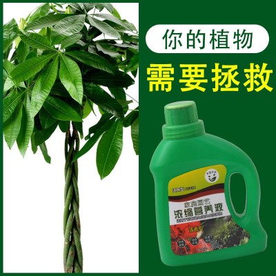 营养液花卉叶面肥绿植肥叶面肥浓缩型营养液 水培植物通用图2