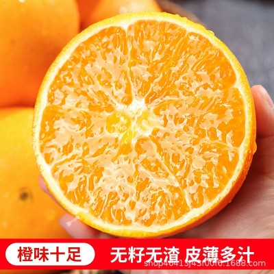 秭归伦晚春橙时令脐橙当季大果新鲜橙子手剥甜橙一件代发整车批发图4