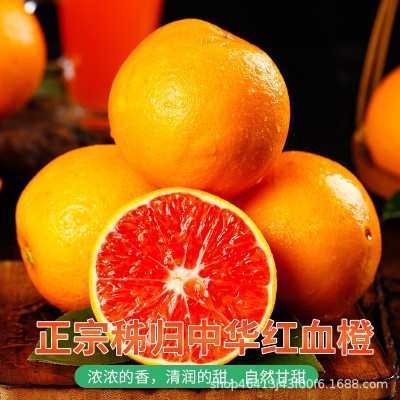 血橙中华红橙子秭归当季新鲜水果整箱包邮正宗红肉红心橙产地批发图3