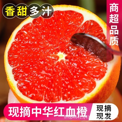 血橙中华红橙子秭归当季新鲜水果整箱包邮正宗红肉红心橙产地批发图2