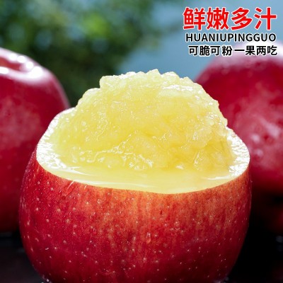 2024正宗甘肃天水花牛苹果新鲜水果当季整箱红蛇粉面平果糖心丑果图3