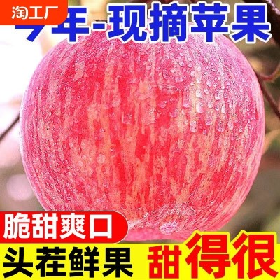 山西正宗红富士苹果当季冰糖心丑苹果脆甜新鲜水果5斤新苹果客服图3