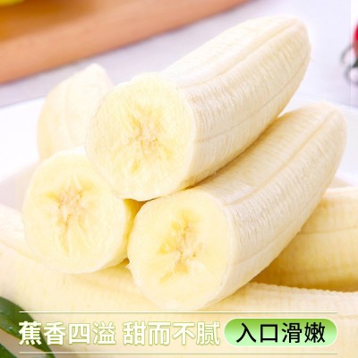 云南高山甜香蕉新鲜水果当季现摘芭蕉小米蕉香焦绿批发整箱包邮s图4