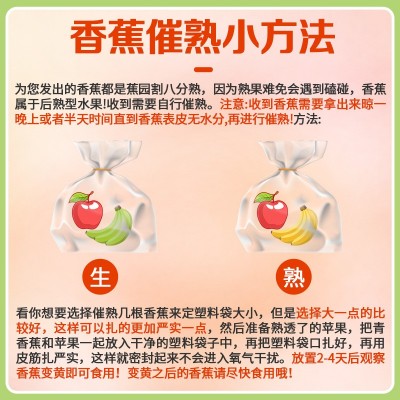 云南高山甜香蕉新鲜水果当季现摘芭蕉小米蕉香焦绿批发整箱包邮s图3