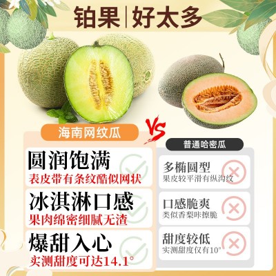 顺丰礼盒海南哈密瓜正宗玫大珑网纹瓜新鲜水果蜜瓜冰淇淋当季一箱图3