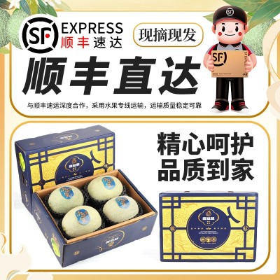 顺丰礼盒海南哈密瓜正宗玫大珑网纹瓜新鲜水果蜜瓜冰淇淋当季一箱图5
