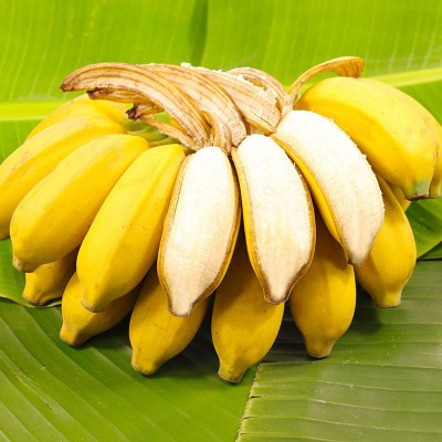 正宗广西小米蕉香蕉9斤新鲜水果整箱当季鲜苹果蕉自然熟粉蕉包邮图3