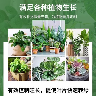 久木堂叶绿素绿植物叶面肥营养液绿叶素园艺发黄叶壮面提苗生根液图4