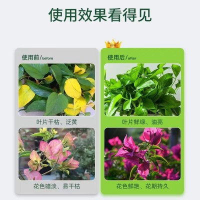 家庭园艺花卉肥通用型种花养花肥料硫酸亚铁家用镁肥颗粒肥 缓释肥图3