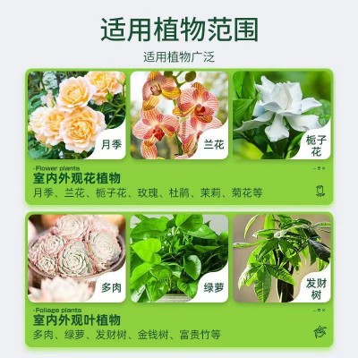 家庭园艺花卉肥通用型种花养花肥料硫酸亚铁家用镁肥颗粒肥 缓释肥图2