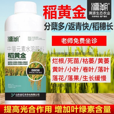 1000克水稻大米复合肥叶面肥稻黄金壮秧剂分蘖灌浆中量元素有机水图4