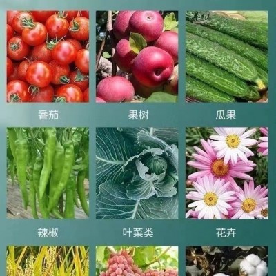 颗粒硼肥料底肥化肥颗粒棚硼肥棵粒棚油菜小麦果树农用水溶肥图2