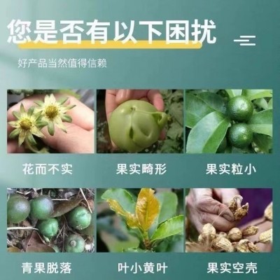 颗粒硼肥料底肥化肥颗粒棚硼肥棵粒棚油菜小麦果树农用水溶肥图4