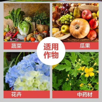 颗粒硼肥料底肥化肥颗粒棚硼肥棵粒棚油菜小麦果树农用水溶肥图3