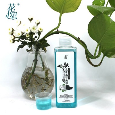 植物营养液通用型家用养花卉绿萝水培绿植多肉盆栽发财树液体肥料图3