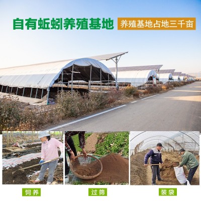 蚯蚓粪牛粪喂养有机肥花卉生物用肥多肉大棚养花土种菜蚯蚓粪图2