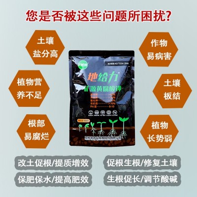 矿源黄腐酸钾水溶肥料土壤活化剂生根壮苗剂腐殖酸调节酸碱果蔬菜图3