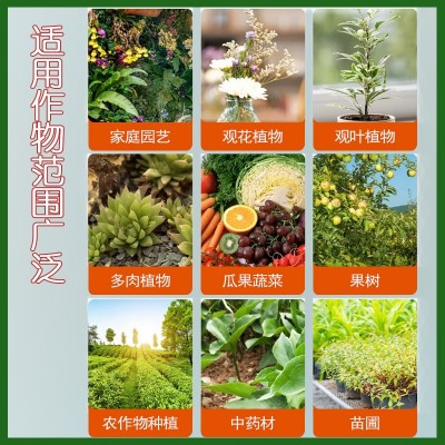 矿源黄腐酸钾水溶肥料土壤活化剂生根壮苗剂腐殖酸调节酸碱果蔬菜图2