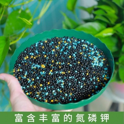 花卉绿植丛卉通用控释肥长效温和颗粒肥水果蔬菜种植控释肥肥料图3