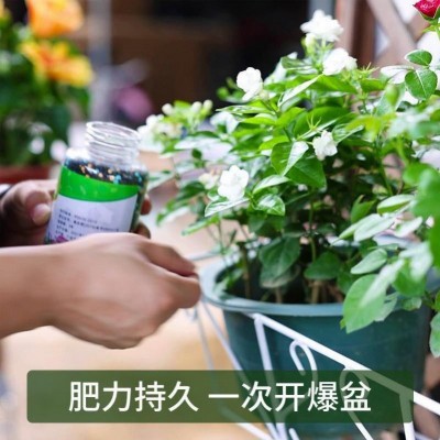 花卉绿植丛卉通用控释肥长效温和颗粒肥水果蔬菜种植控释肥肥料图4