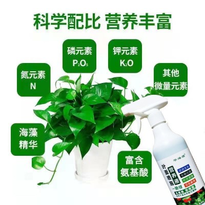 一喷绿花肥黄叶变绿氨基酸叶面肥营养液园艺肥料植物肥料果树蔬菜图4