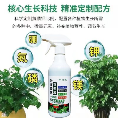 一喷绿花肥黄叶变绿氨基酸叶面肥营养液园艺肥料植物肥料果树蔬菜图2