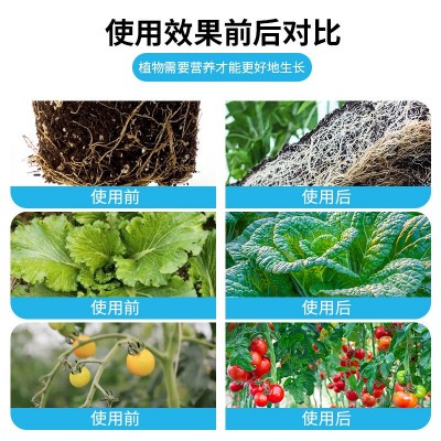 老爷子甲壳素海藻肥瓜果专用营养液植液肥有机肥料水溶肥蓝莓青瓜图4