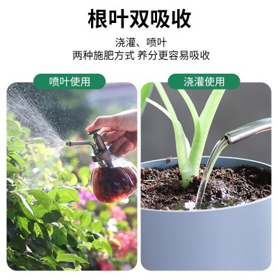 老爷子甲壳素海藻肥瓜果专用营养液植液肥有机肥料水溶肥蓝莓青瓜图3