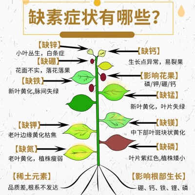 厂家批发十三元素瓜果蔬菜促长壮苗增产增收中微量元素水溶肥图3