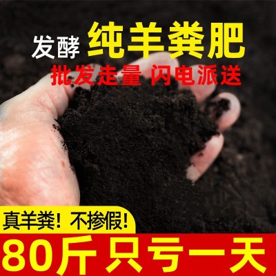 羊粪发酵有机肥花卉蔬菜瓜果纯鸡粪种菜养花通用腐熟羊粪肥料图2