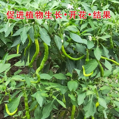 厂家直销鸡粪有机肥料干肥农家肥鸡屎肥蔬菜养花果树农家块种菜批图2
