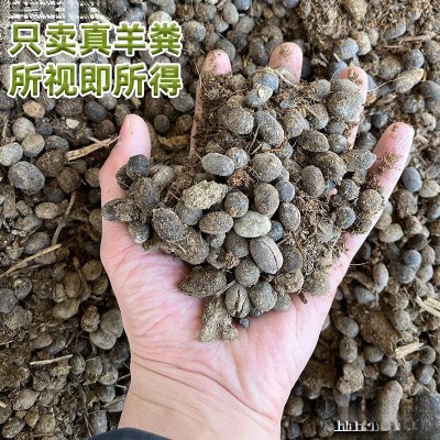 -斤羊粪发酵有机肥盆栽肥料种菜肥花卉蔬菜农家纯羊粪蛋图3