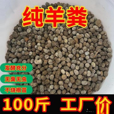 -斤羊粪发酵有机肥盆栽肥料种菜肥花卉蔬菜农家纯羊粪蛋图1