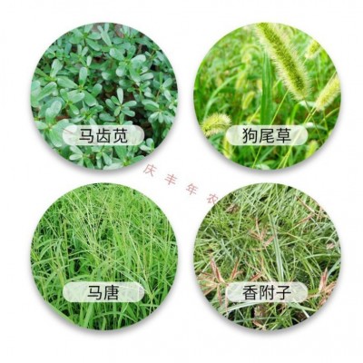 绿野杰达 41%草甘膦异丙胺盐 灭生性除草剂草甘磷 除草剂 200g图4