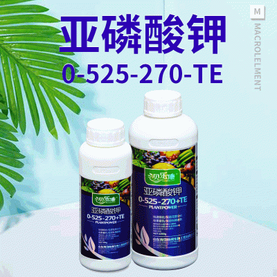 家用通用亚磷酸钾大量元素水溶肥叶面肥冲施肥农用花芽分化山东图1
