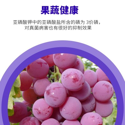 家用通用亚磷酸钾大量元素水溶肥叶面肥冲施肥农用花芽分化山东图5