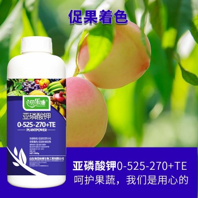 家用通用亚磷酸钾大量元素水溶肥叶面肥冲施肥农用花芽分化山东图3