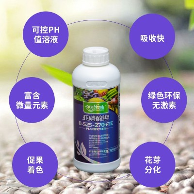 家用通用亚磷酸钾大量元素水溶肥叶面肥冲施肥农用花芽分化山东图2