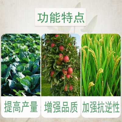 磷酸二氢钾叶面肥料果树蔬菜磷钾肥水溶肥农产品增强品质提高产量图3