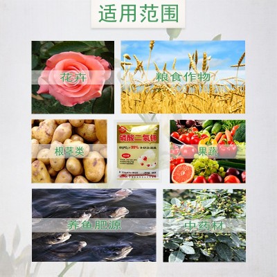 磷酸二氢钾叶面肥料果树蔬菜磷钾肥水溶肥农产品增强品质提高产量图2