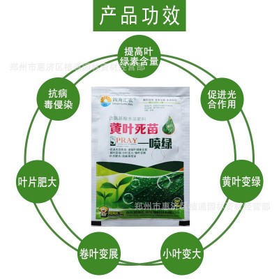 黄叶一喷绿叶面肥料绿叶先锋氨基酸水溶肥提高绿叶素黄叶卷叶绿素图3