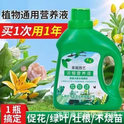 营养液植物通用型花肥家用盆栽发财树绿萝富贵竹水培花卉绿植肥料图2