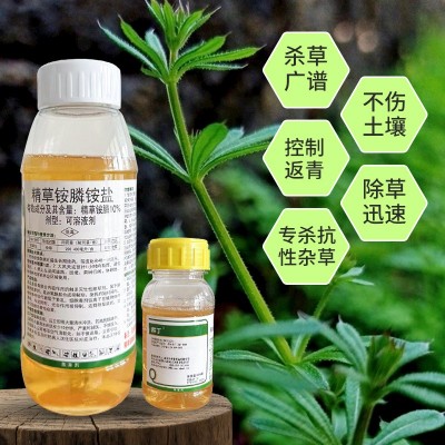 10%精草铵膦果园林茶园荒地杂草牛筋草小飞蓬不伤根系强力除草剂图3