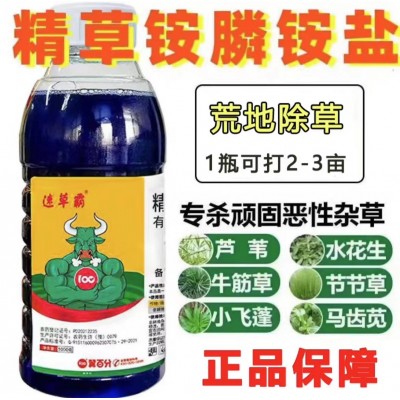 精草铵膦铵盐除草剂厂家直销果园除草剂牛筋草小飞蓬恶性杂草除草图2