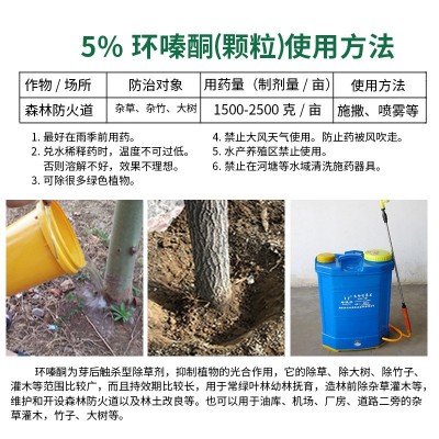 环嗪酮除草烂根剂灭大树杂树烂根除竹子药除灌木杂草环嗪哃除草剂图4